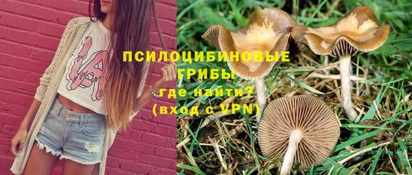ПСИЛОЦИБИНОВЫЕ ГРИБЫ Горнозаводск