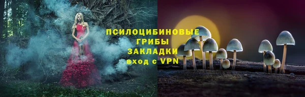 mdpv Горняк