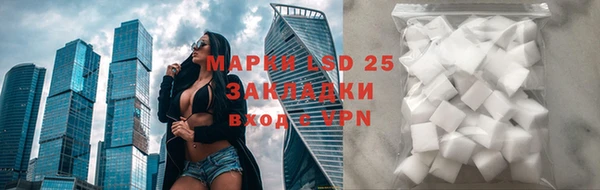 ПСИЛОЦИБИНОВЫЕ ГРИБЫ Горнозаводск