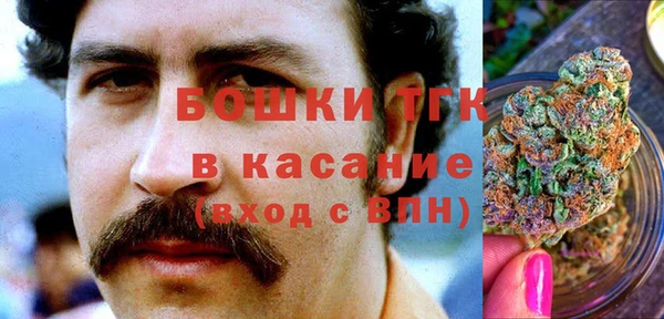 ПСИЛОЦИБИНОВЫЕ ГРИБЫ Горнозаводск