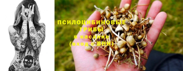 mdpv Горняк