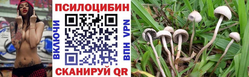 гидра рабочий сайт Краснознаменск Псилоцибиновые грибы MAGIC MUSHROOMS